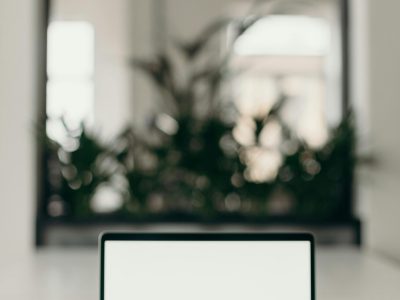 pexels-cottonbro-4065617 pexels-cottonbro-4065617